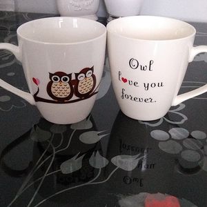 New Large Owl Mugs